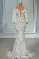 Elegant Long Sleeves Mermaid V-neck Tulle Lace Wedding Dresses